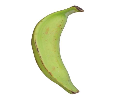 Unripe Plantain - Big