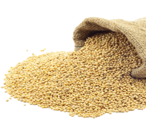 Millet