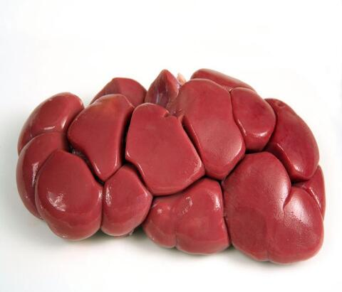 Cow Kidney and Trachea
