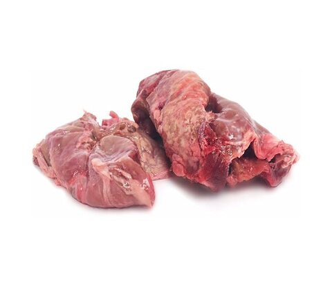 Cow Pancreas