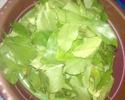 Afang Leaf