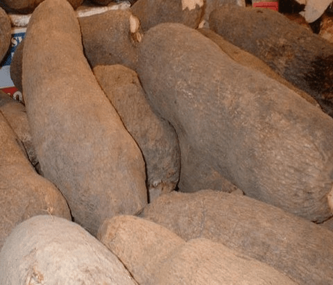 Abuja Yam