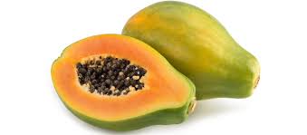 Paw Paw - American Pink Solo (Medium)