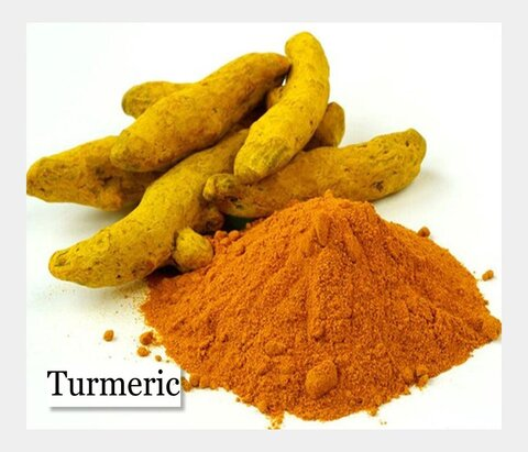 Fresh Turmeric