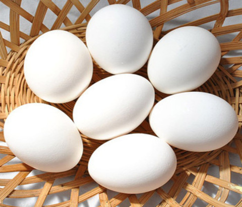 Eggs - Small