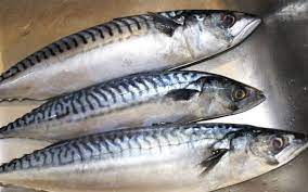 Titus Fish (Kampala)