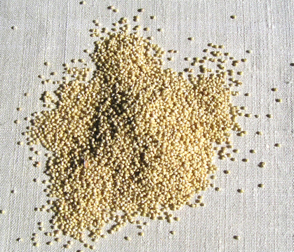 Millet