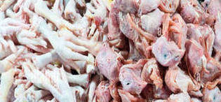 Chicken head and leg