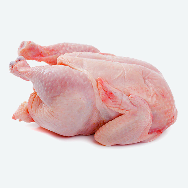 Chicken (Big)