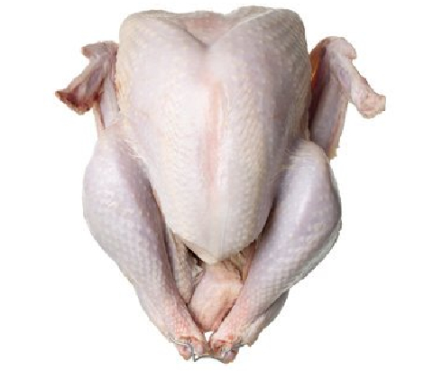 Turkey