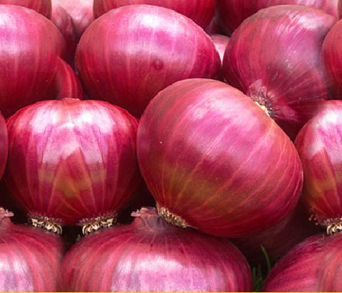 Onions