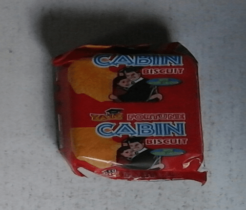 Yale Fortune Cabin Biscuit