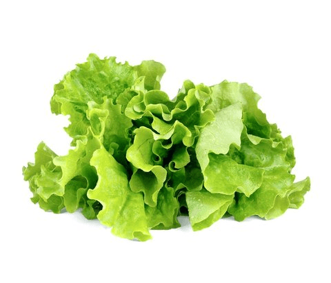 Lettuce