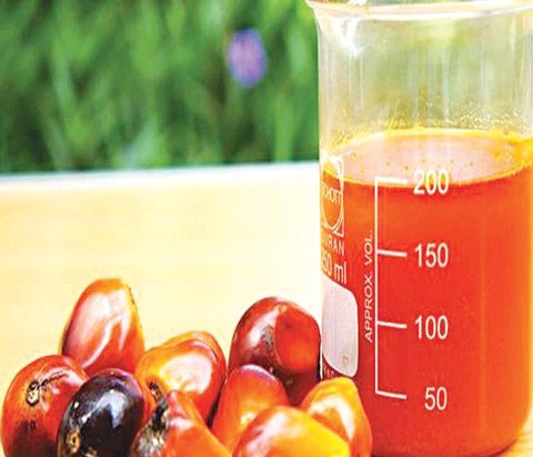 Palm oil (Yoruba)