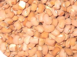 Drum beans