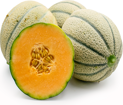 Cantaloupe (Golden Melon) - Medium