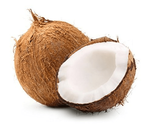 Coconut - Medium