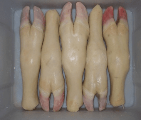 Cow leg