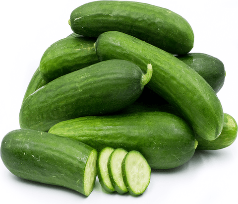 Cucumber