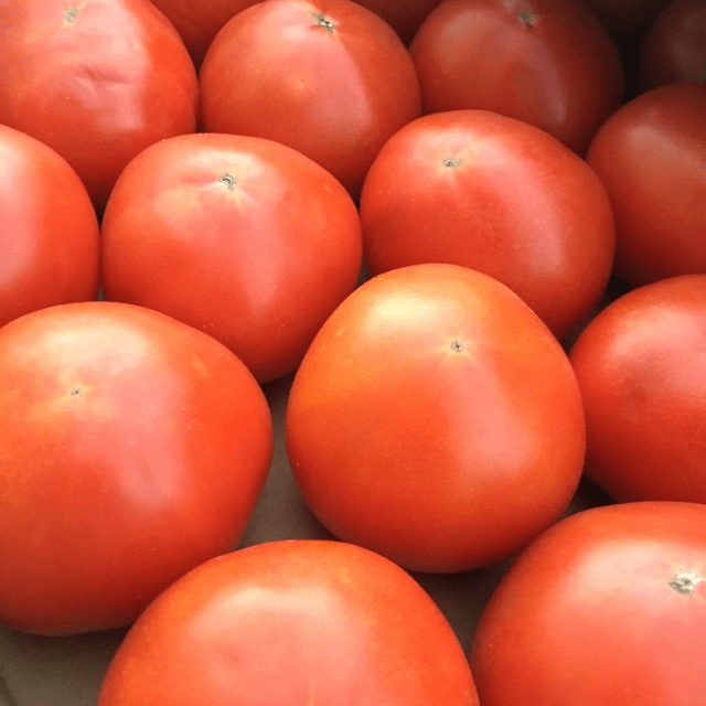 Tomatoes (Cobra Variety)
