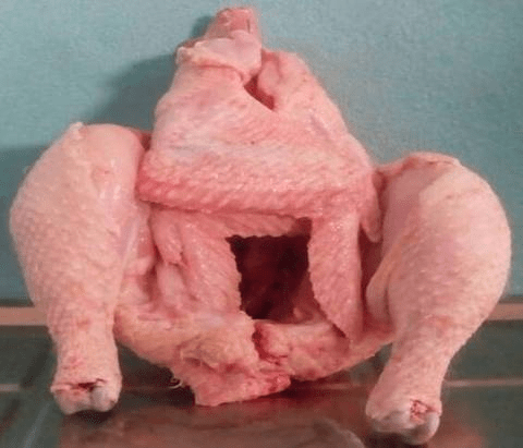 Happy Chicken (Half-Cut)