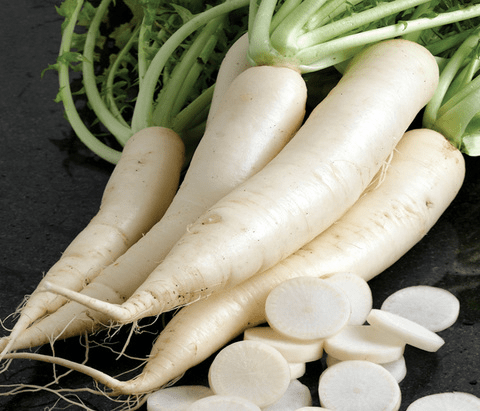 Radish
