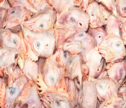 Chicken heads
