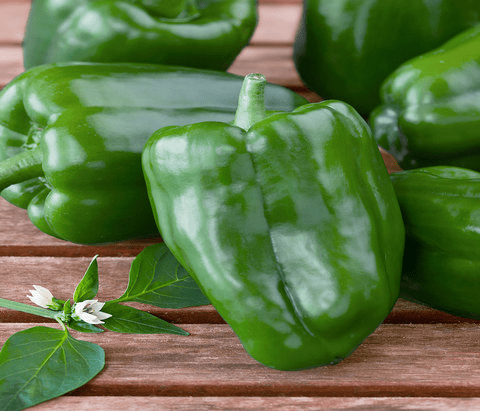Green Bell Pepper