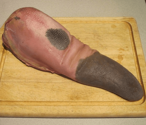 Cow Tongue