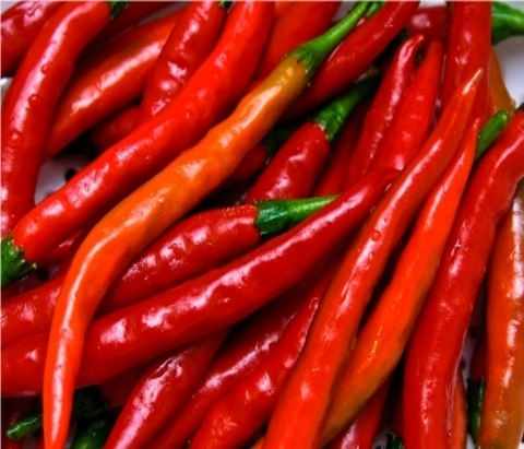 Bawa/Sombo (Cayenne Pepper)